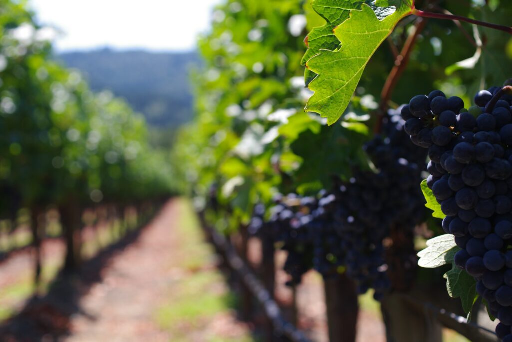 Napa, CA